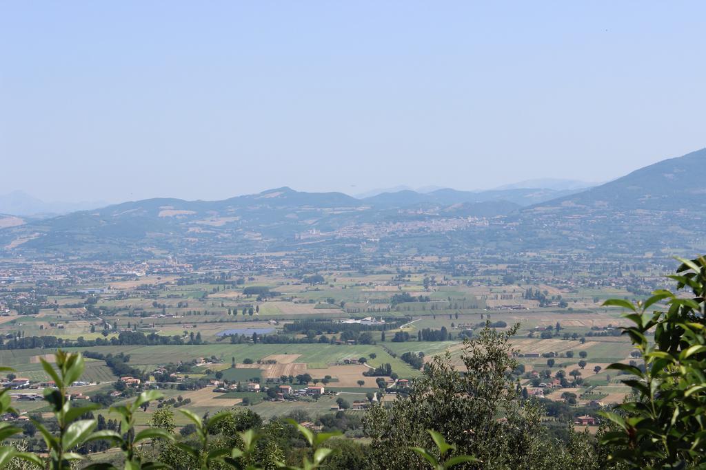 Societa Agricola F.Lli Angelucci Villa Cannara Exteriör bild