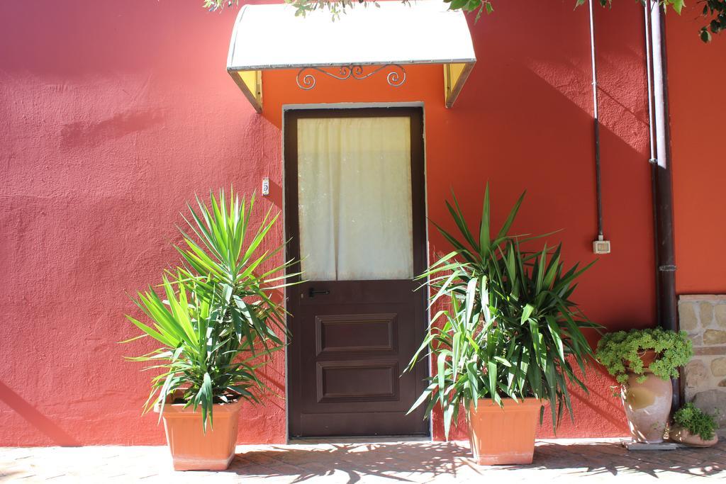 Societa Agricola F.Lli Angelucci Villa Cannara Exteriör bild
