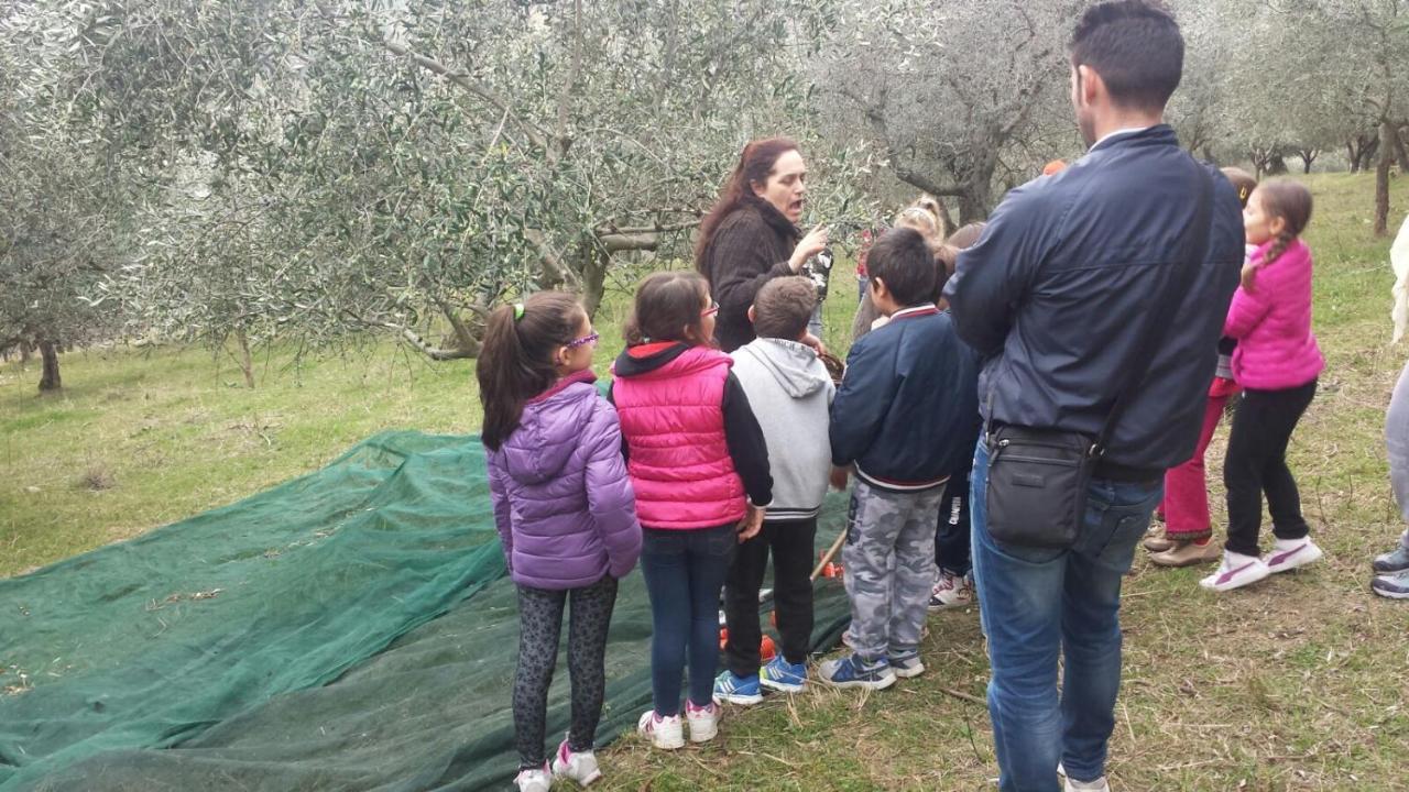 Societa Agricola F.Lli Angelucci Villa Cannara Exteriör bild
