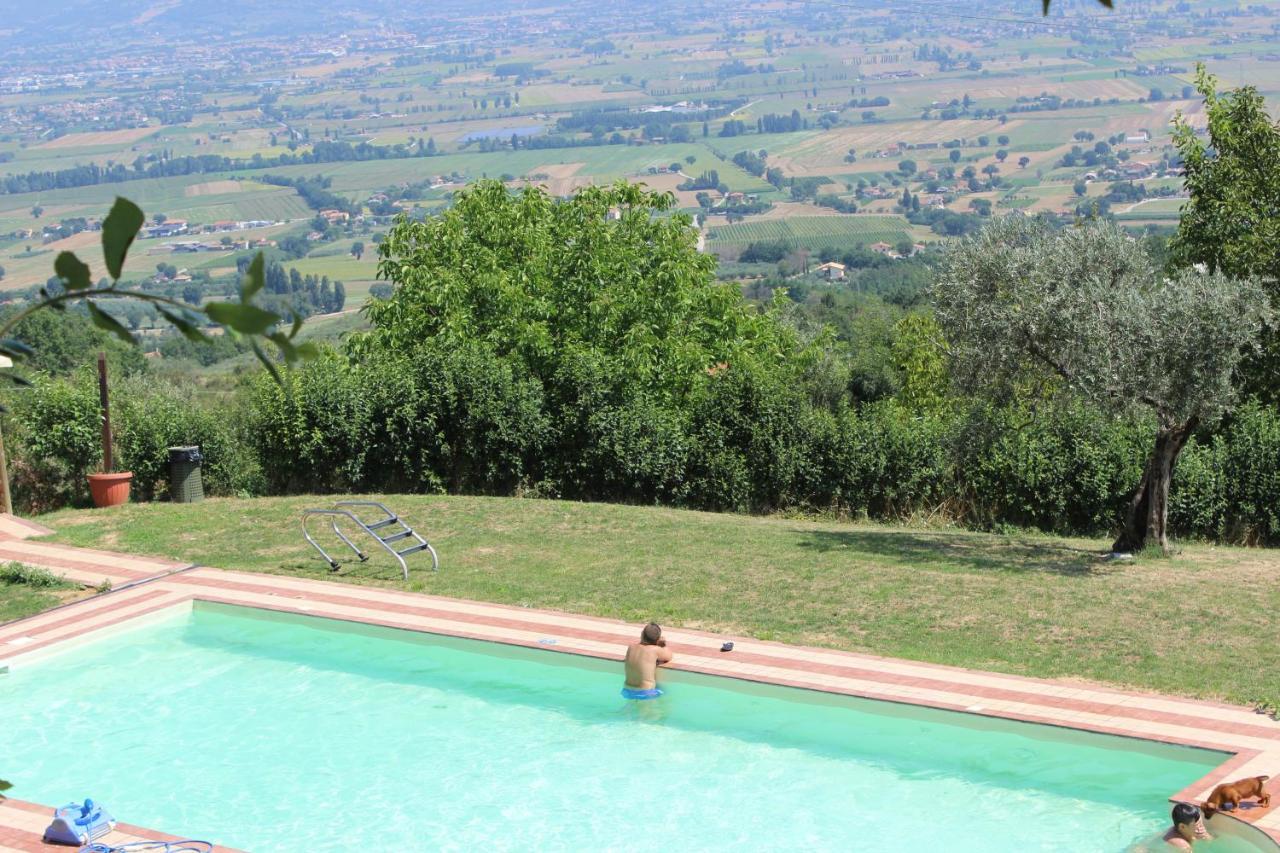 Societa Agricola F.Lli Angelucci Villa Cannara Exteriör bild